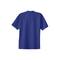 Port & Company® Essential Blue Shades Adult T-Shirt